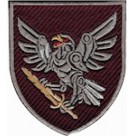 Шеврон 238 окремий батальйон безпілотних систем