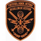  Шеврон 155 ОМБр Bataillon de gestion