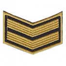 Курсовка жовта на черном 2 курс. Колір: желто-чорний.