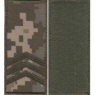 Погоны МО "липучка" вышитые сержант. Колір: цифра.