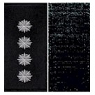 Погоны Капитан Полиции + липучка 4,00 грн.. Колір: бундес, олива, чорний.