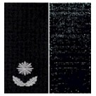 Погоны Майор Полиции + липучка 4,00 грн.. Колір: бундес, олива, чорний.