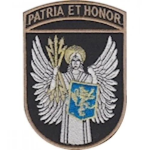 Шеврон ВІТІ ""Patria et honor""