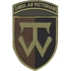 Шеврон 58 ОМПБр ""SIMUL AD VICTORIAM""
